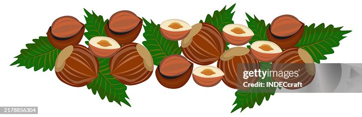 Hazelnut Hazelnut