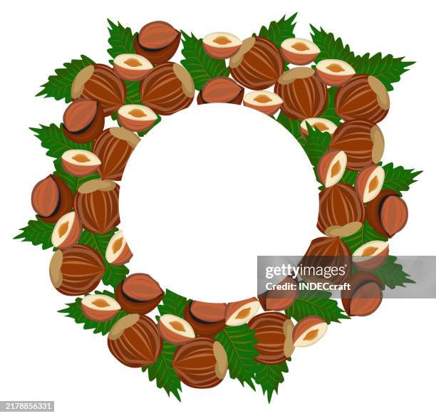 hazelnut - walnuts white background stock illustrations