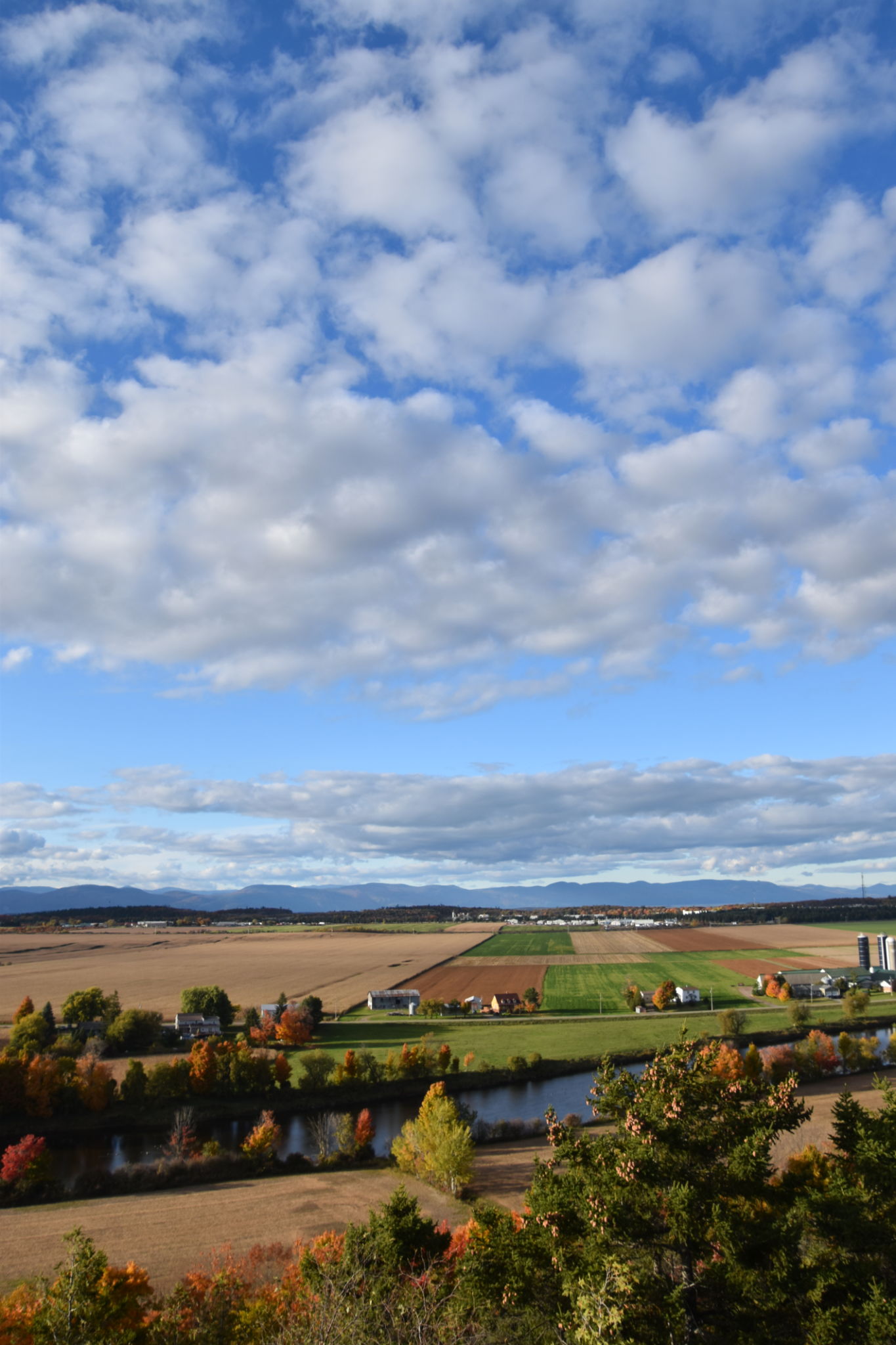 terrain paysage