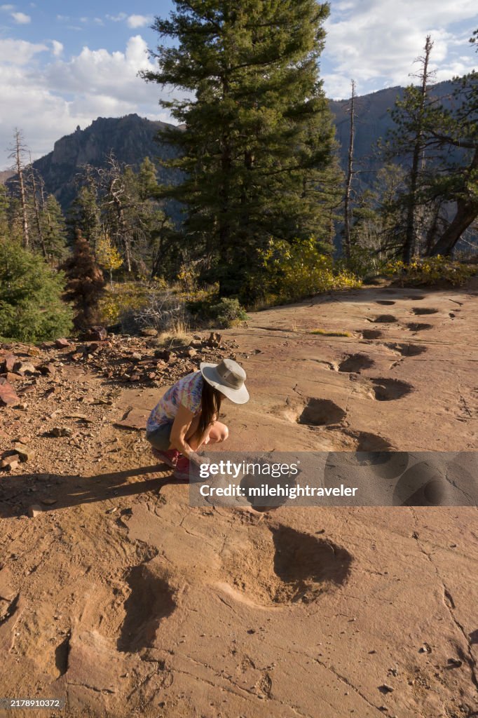 Woman walks West Gold Hill Dinosaur Tracksite Ouray Colorado