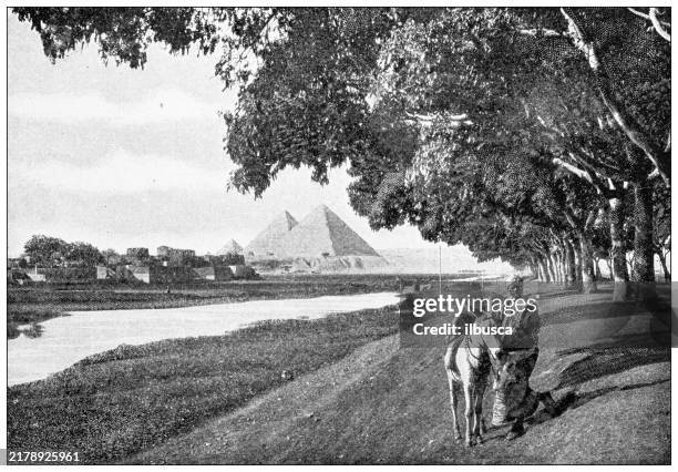 ilustrações de stock, clip art, desenhos animados e ícones de antique image: egypt - rio nilo