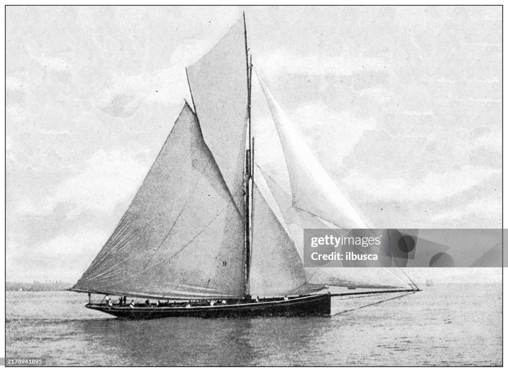 Antique image: America's Cup, "Galatea"