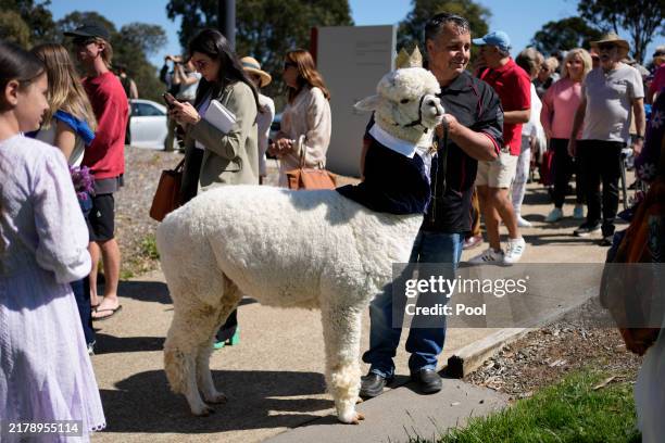 Royal supporter stands in line with his alpaca to get in to the Australian War Memorial ahead of King Charles III and Queen Camilla's visit on...