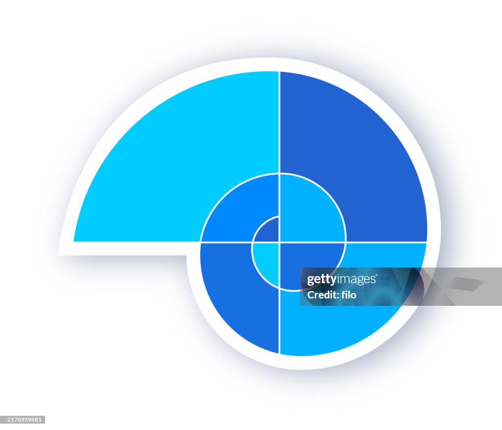 Spiral Nautilus Shell Golden Ratio Concept