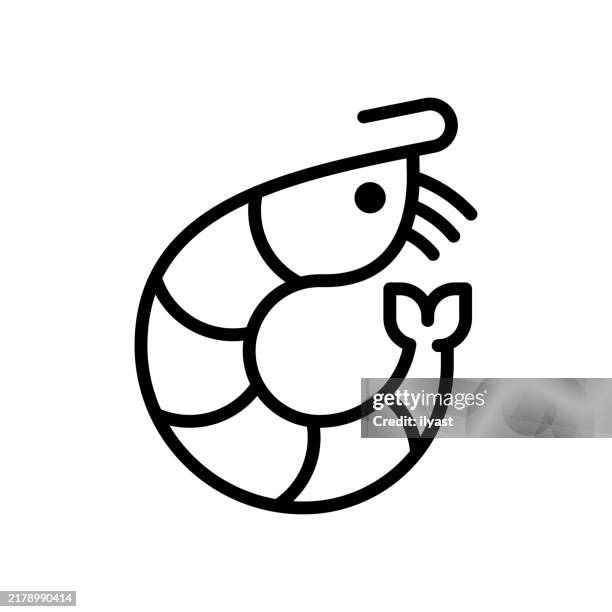 eine einfache strichzeichnung einer garnele - sushi koch stock-grafiken, -clipart, -cartoons und -symbole