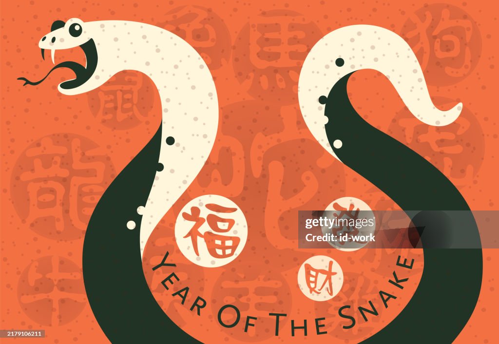 Year of the snake