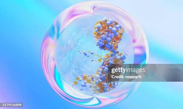 bambino umano nel grembo materno. - attrezzatura medica da monitoraggio foto e immagini stock