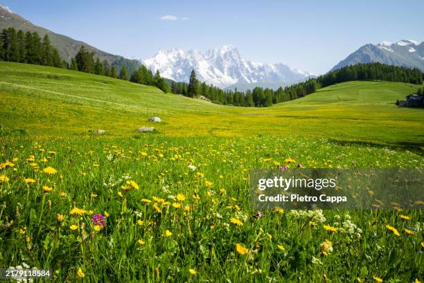 trekking along the high routes of aosta valley. - chaîne de montagnes photos et images de collection