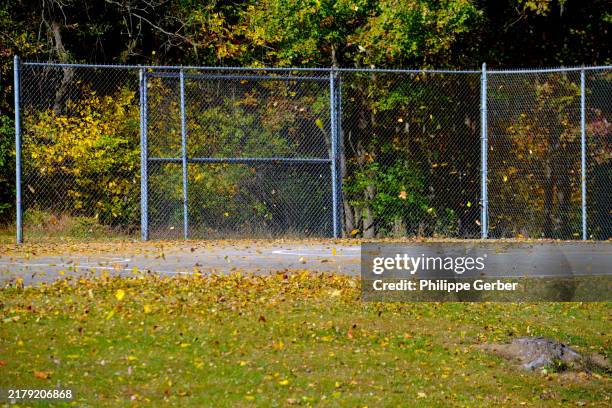 autumn leaf colors - valla de alambre fotografías e imágenes de stock