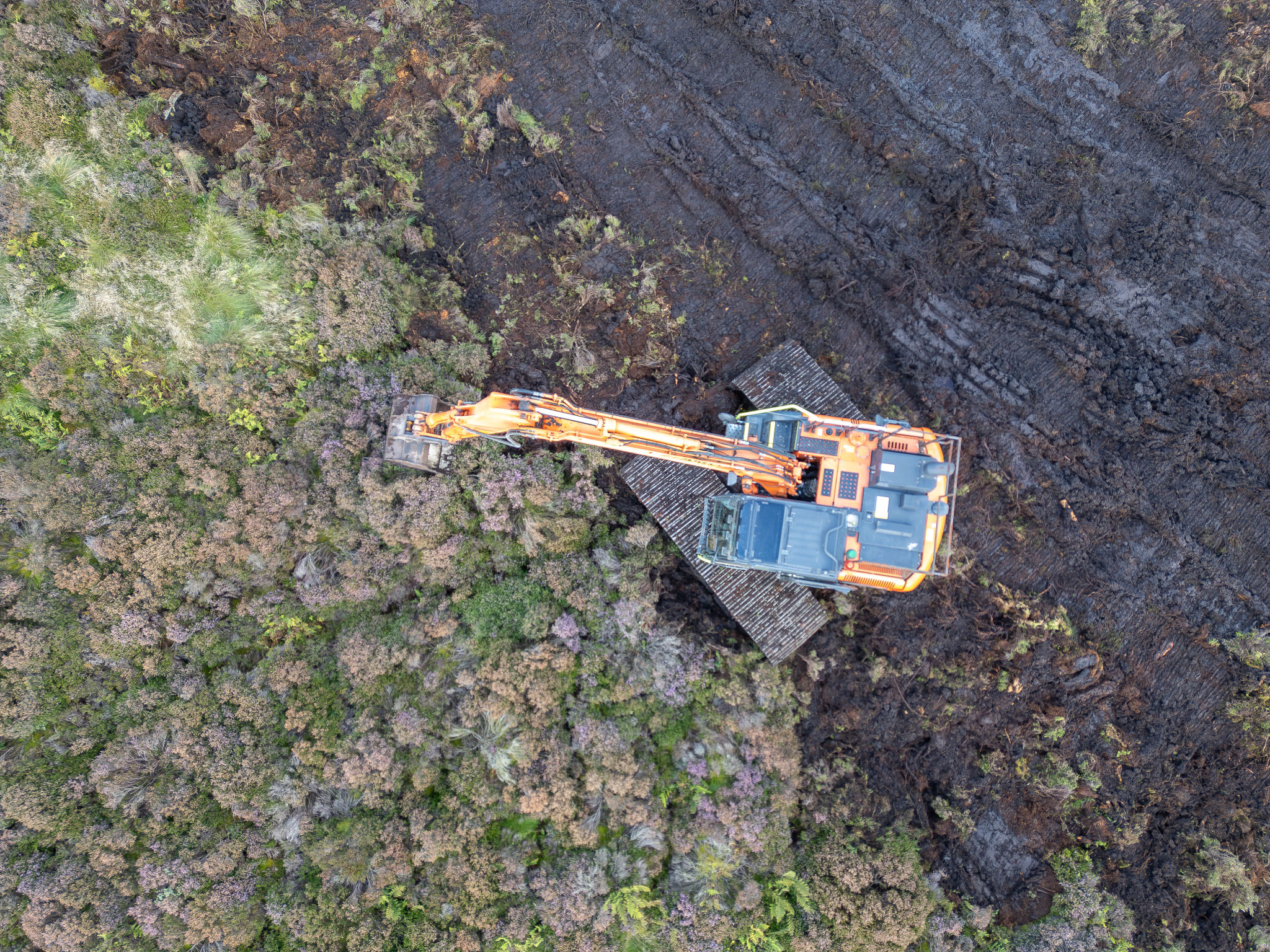 environmental restoration