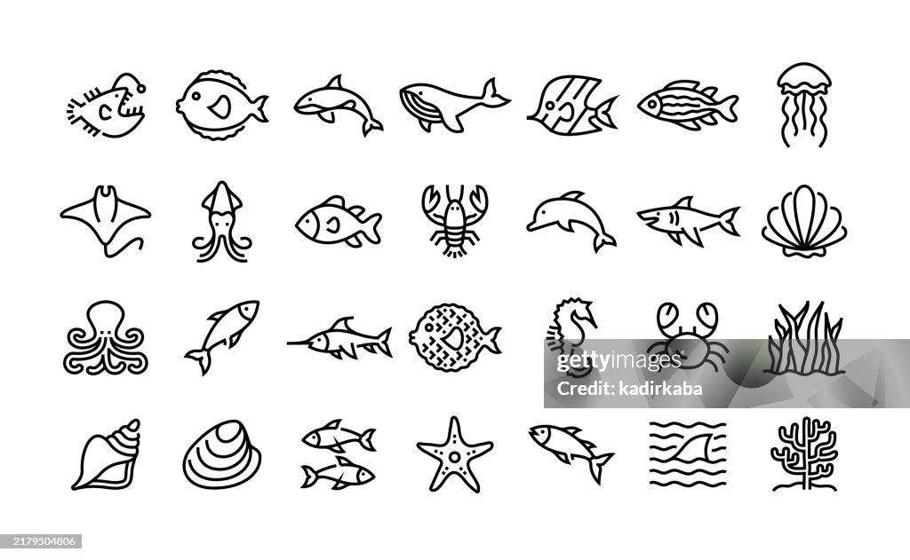 Sea life line icon set. Group of object. Nautical, fish, orca, whale, tropical fish, zebrafish, shark, dolphin.