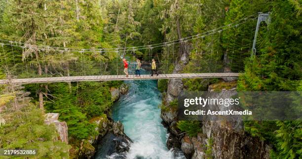 aerial view of family on suspension bridge - green bridge over trees stock pictures, royalty-free photos & images
