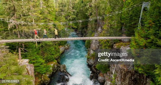 luftaufnahme einer familie auf einer hängebrücke - temperierter-regenwald stock-fotos und bilder