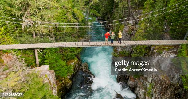 aerial view of family on suspension bridge - green bridge over trees stock pictures, royalty-free photos & images