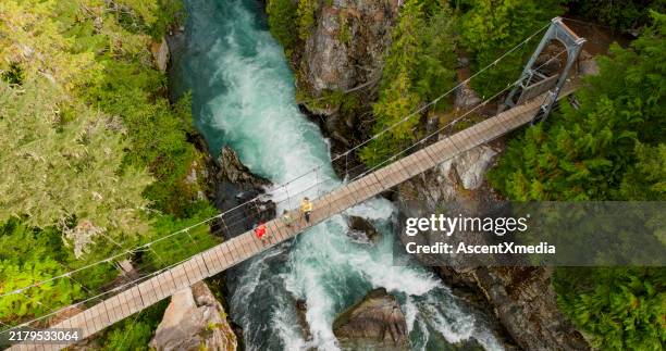 aerial view of family on suspension bridge - green bridge over trees stock pictures, royalty-free photos & images