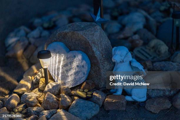 Grave is memorialized at an improvised pet cemetery that persists in the foothills of the Eastern Sierra Nevada Mountains on October 20, 2024 near...