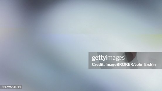 Beautiful modern abstract background created using cross-polarization. Looks great on web page Beautiful modern abstract background created using cross-polarization. Looks great on web page