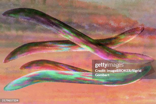 bacteria microorganisms with a simple cell wall - microbiologist stock illustrations