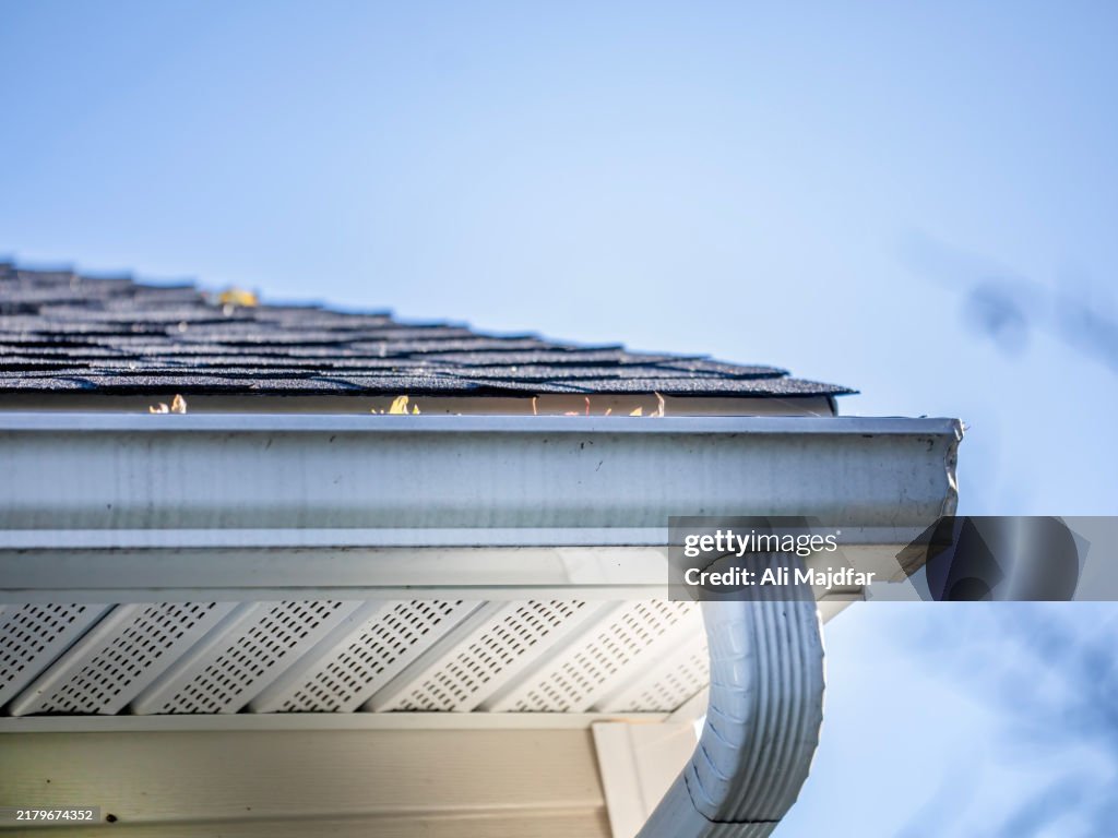 Dried Fallen Leaves and Gutter