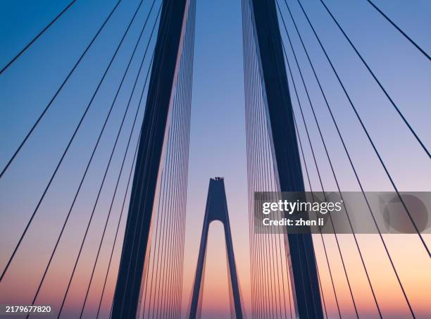 low angle view of steel cables of bridge - architecture stock pictures, royalty-free photos & images
