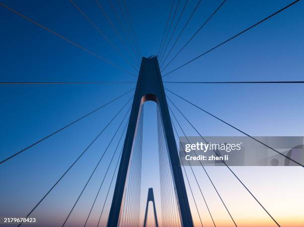 low angle view of steel cables of bridge - hängbro bildbanksfoton och bilder