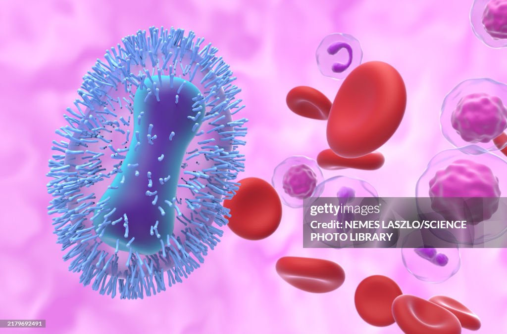Mpox virus, illustration