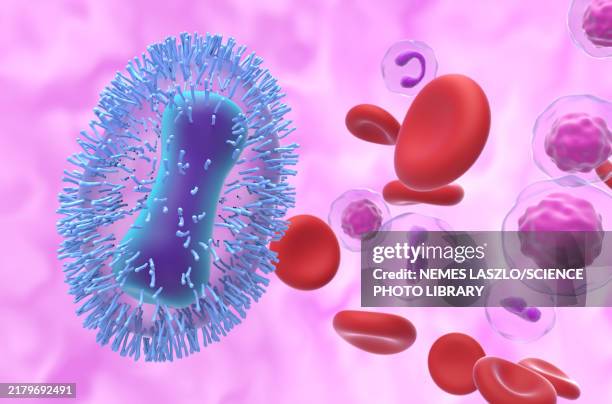mpox virus, illustration - core stock illustrations