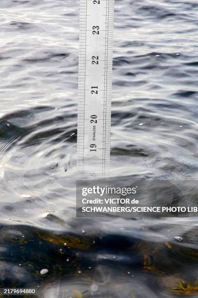 4,710 Ruler Definition Stock Photos, High-Res Pictures, and Images ...