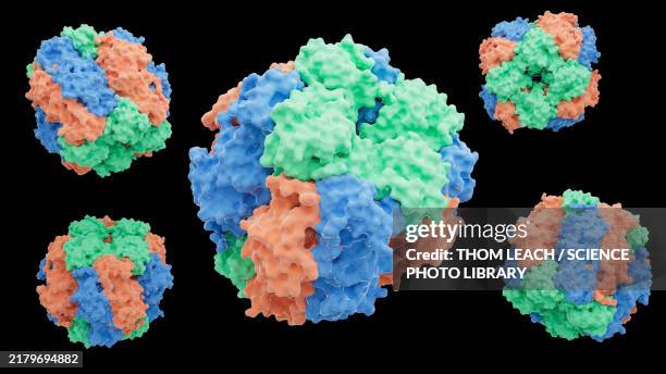 illustrations, cliparts, dessins animés et icônes de rubisco protein structure, illustration - molécule végétale