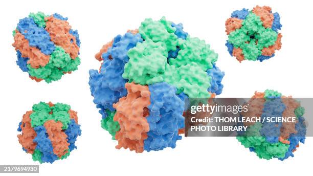 rubisco enzyme structure, illustration - cellular respiration stock illustrations