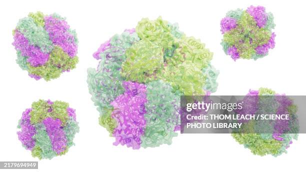 rubisco enzyme, illustration - cellular respiration stock illustrations