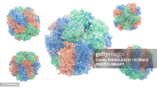 rubisco enzyme, illustration - cellular respiration stock illustrations