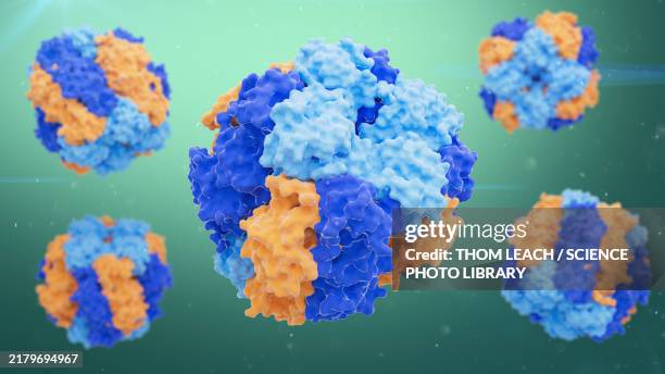 rubisco enzyme, illustration - cellular respiration stock illustrations
