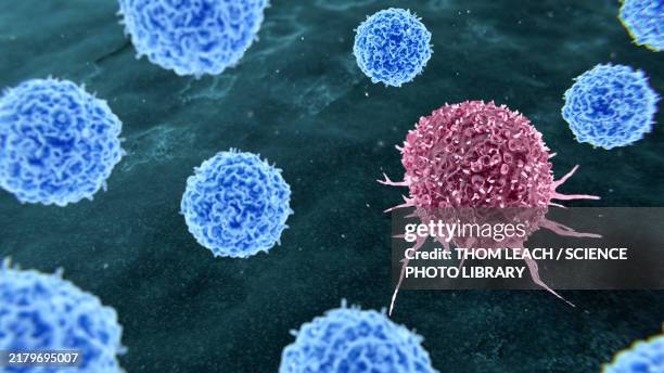 bildbanksillustrationer, clip art samt tecknat material och ikoner med tumour infiltrating lymphocyte therapy, illustration - cancer