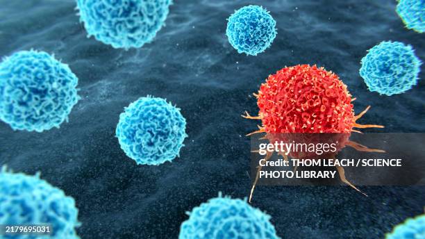 tumour infiltrating lymphocyte therapy, illustration - lymphocyte stock illustrations