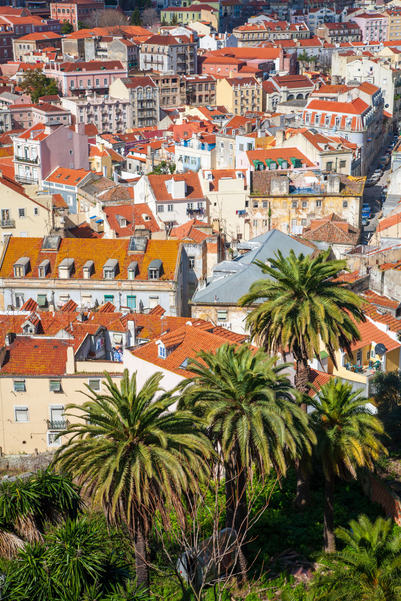 historic building Lisboa