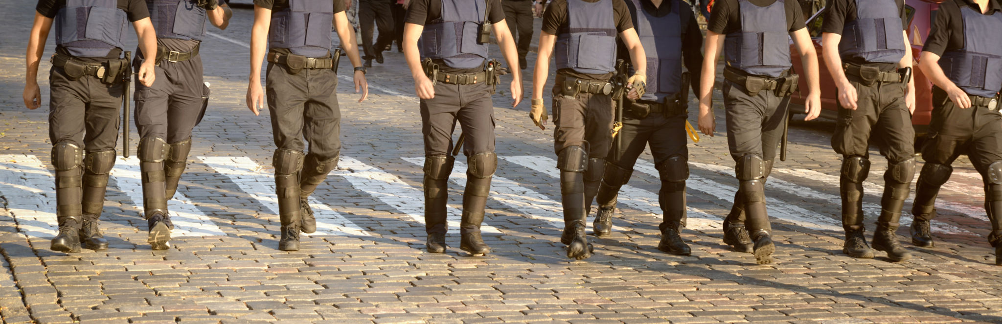 seguridad pública