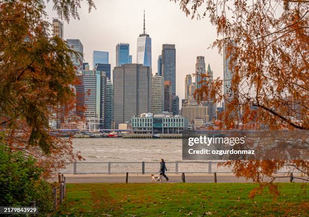 autumn view from new york city. people and dogs strolling in brooklyn bridge park - brooklyn bridge park stock pictures, royalty-free photos & images
