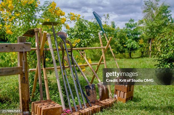 agricultural tools on diy bamboo garden rack amid organic farming scene - rastrillo artículos de jardín fotografías e imágenes de stock