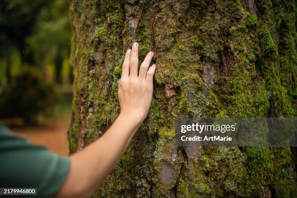gros plan de la main d’un adolescent touchant un arbre, bain de forêt et concept de connexion avec la nature - mousse-végétale photos et images de collection