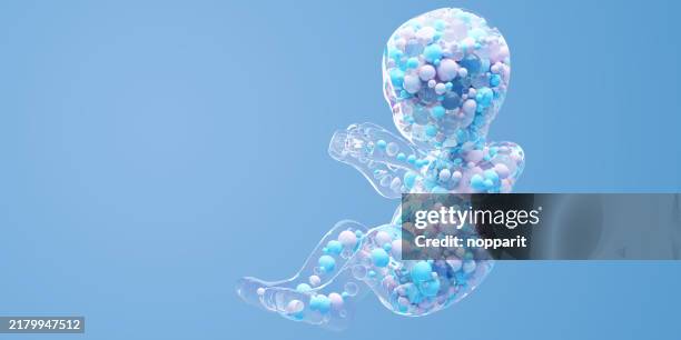 menschliches baby im mutterleib. - stammzelle stock-fotos und bilder