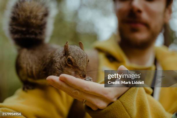 man in yellow jacket feeding squirrels in park - hairy male feet stock pictures, royalty-free photos & images