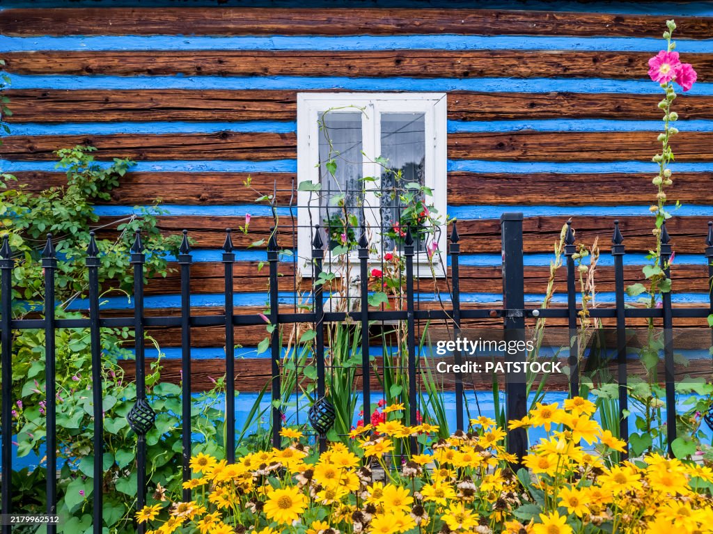 Blue-brown wooden house with a white window decorated with beautiful yellow flowers.