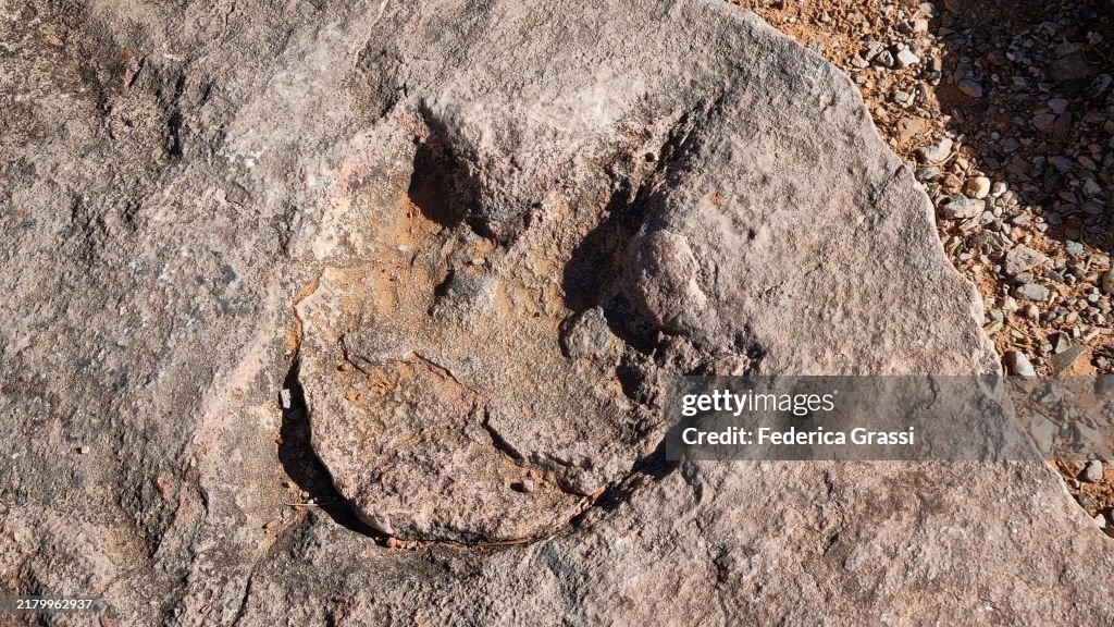 Dinosaur Footprint at Navajo National Monument Visitor Center near Shonto and Kayenta, Arizona