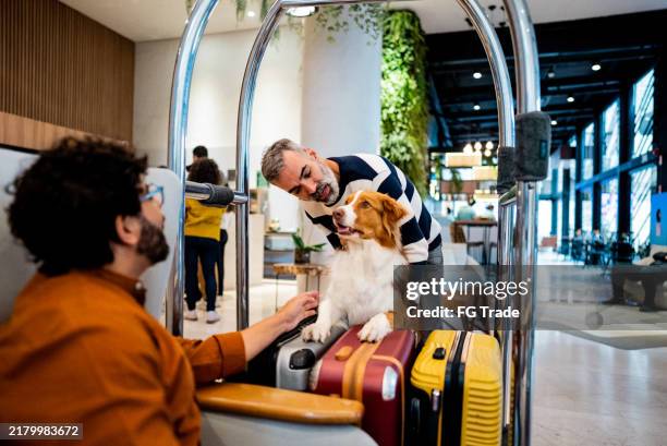 gay couple caressing dog at hotel reception - dog carts stock pictures, royalty-free photos & images