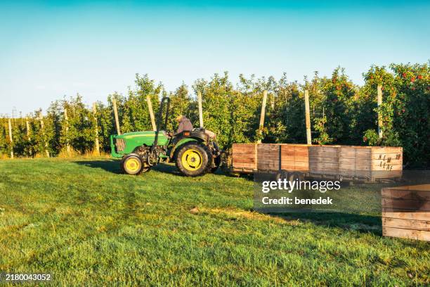 apple orchard harvesting tractor - apple field stock pictures, royalty-free photos & images