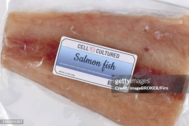 Lab Made Fish 13 Lab Grown Fish Stock Photos, High-Res Pictures, and Images - Getty ...