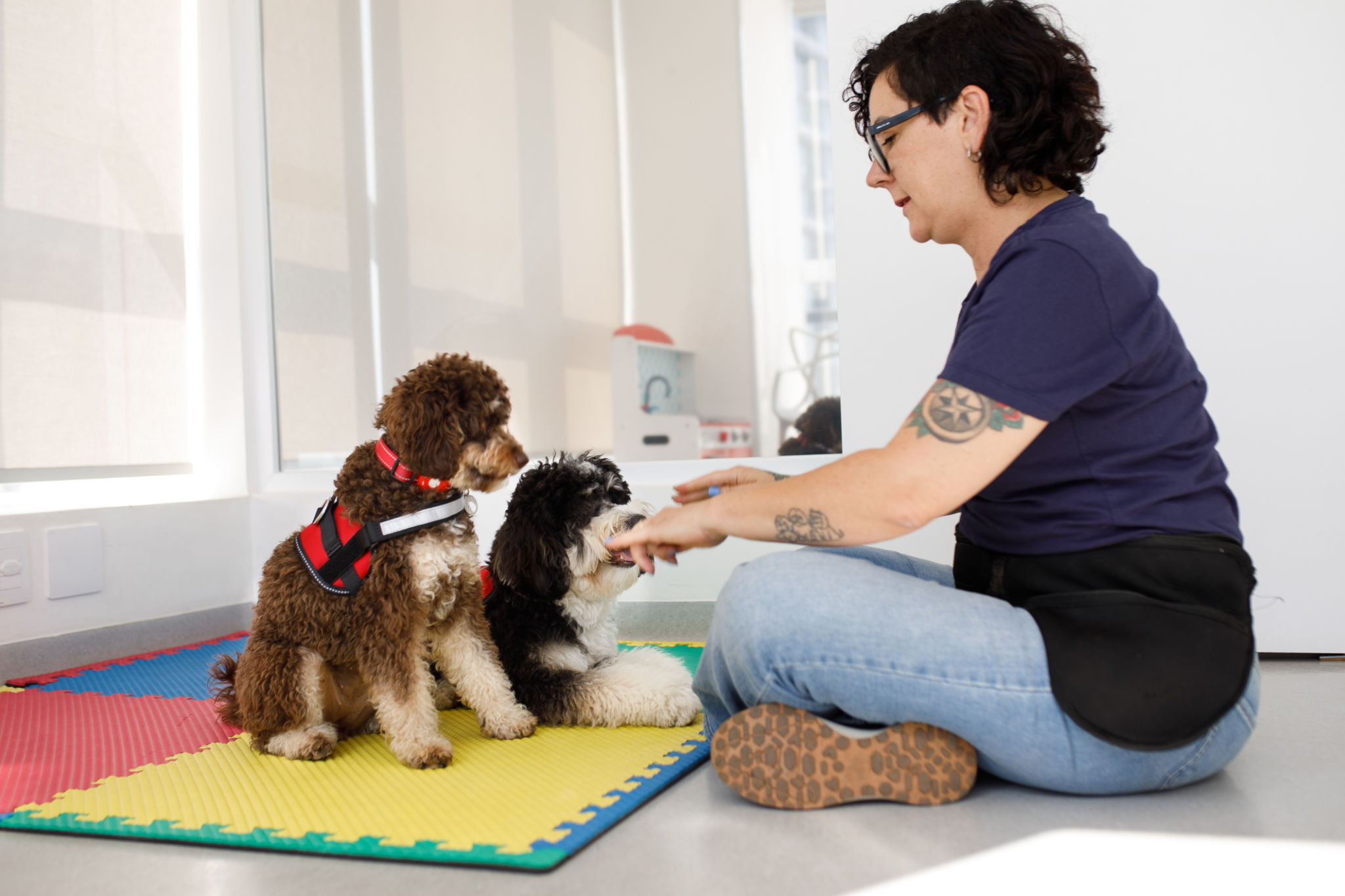 dog patience