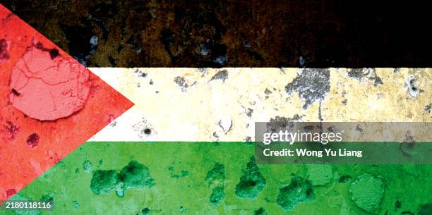 palestine flag with bullet holes and cracked wall - west bank palestinian territories stock pictures, royalty-free photos & images