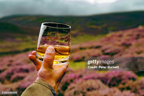 scotch whisky, grampian highlands, schottland - schottischer whisky stock-fotos und bilder